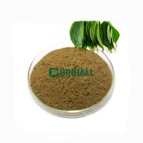 Persimmon leaf extract